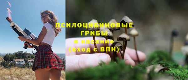 твердый Лагань