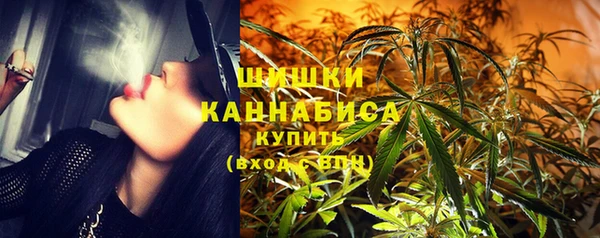 твердый Лагань