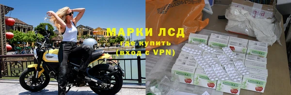 твердый Лагань