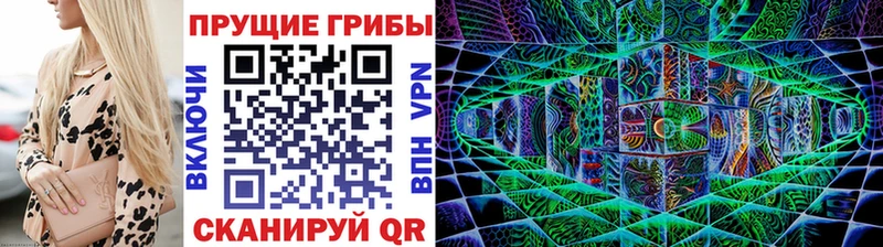 хочу наркоту  Новокузнецк  Псилоцибиновые грибы MAGIC MUSHROOMS 